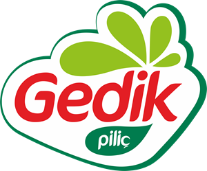 Gedik Pilic Derstagram